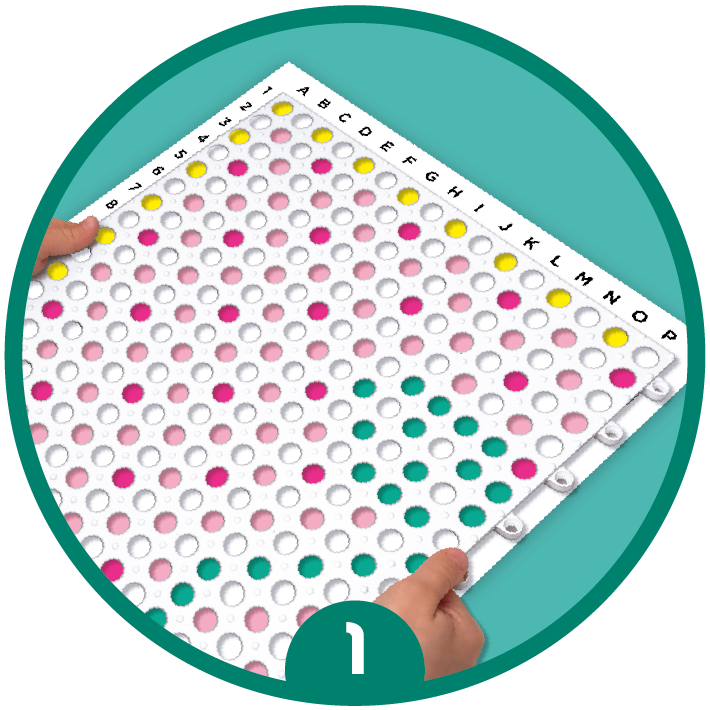 Étape 1 : découvre le contenu de ton kit Tapitouf